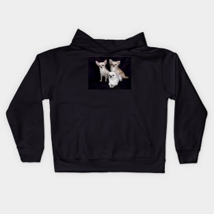 chihuahua group Kids Hoodie